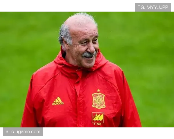 博斯克重返国家队执教,肩负重振雄风重任 博斯克重返国家队执教,肩负重振雄风重任