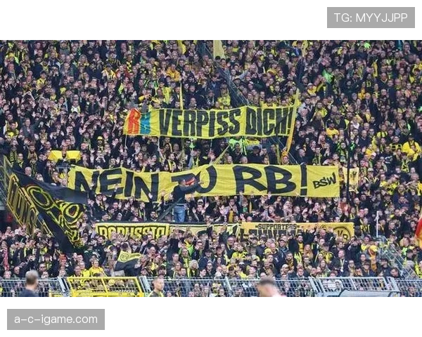 欧公园主场迎战德甲劲旅，表现引人关注