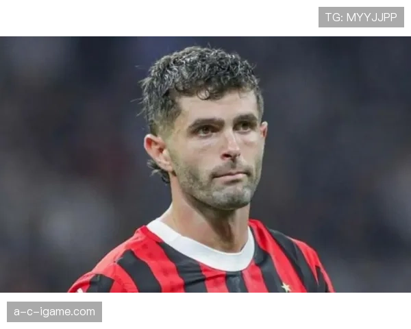 普利西奇风格分析