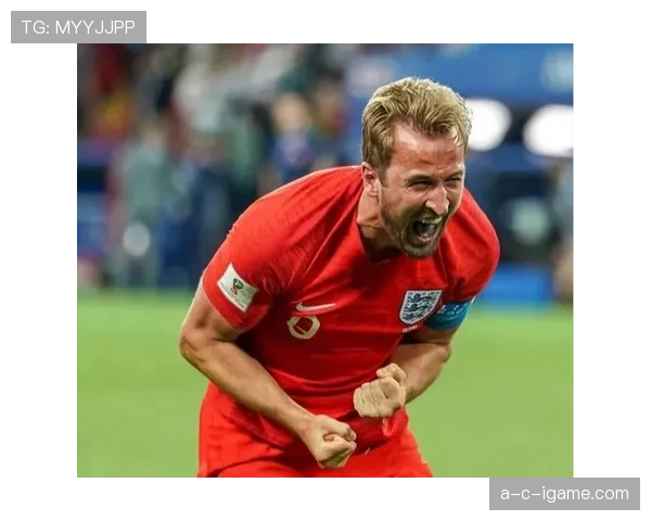 哈里·凯恩买了豪宅邻居竟然是英超两大巨星，感觉这地方比好莱坞还热闹